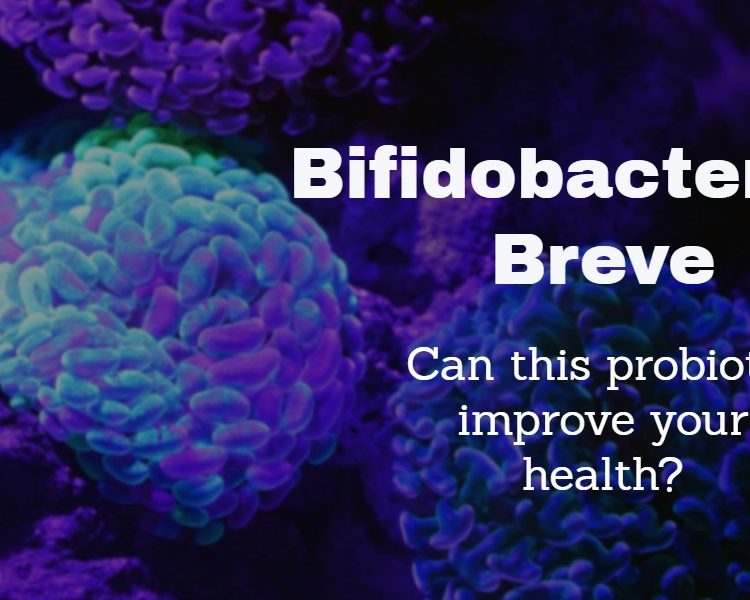 Photo of bifidobacterium breve microorganisms which have probiotic qualities for humans