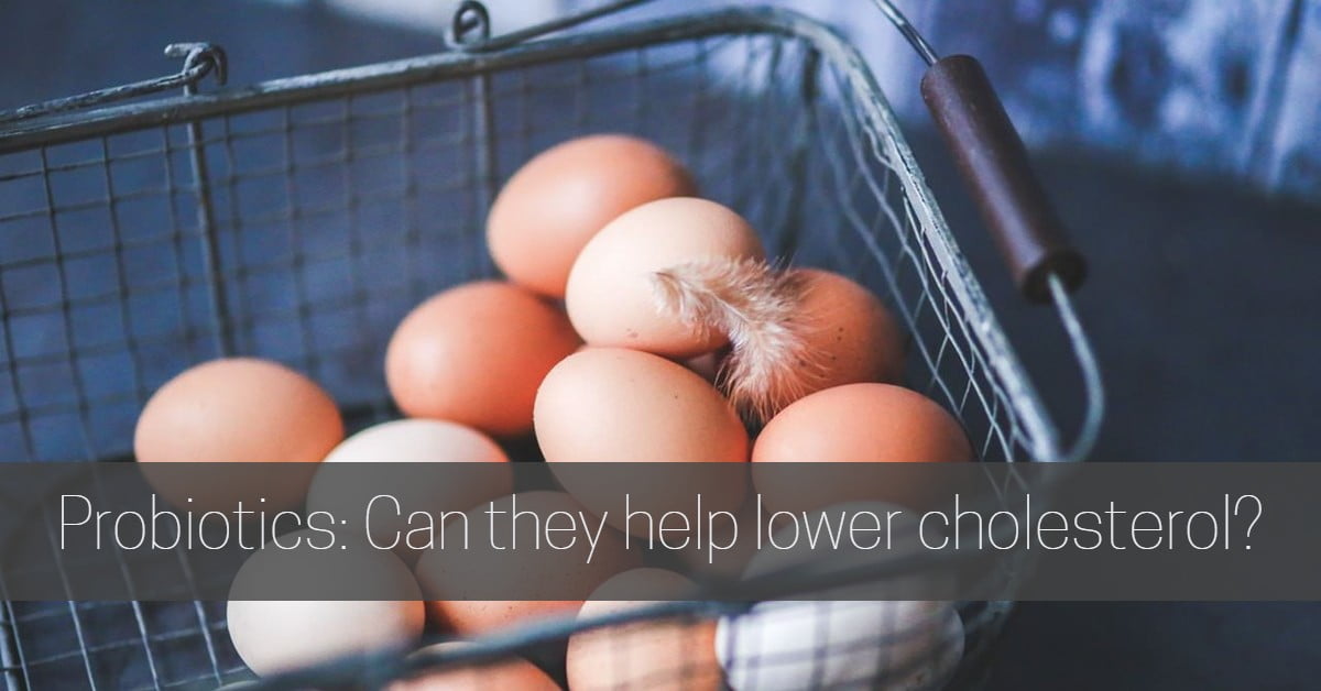 Cover image for article on probiotics and cholesterol of brown eggs in a basket