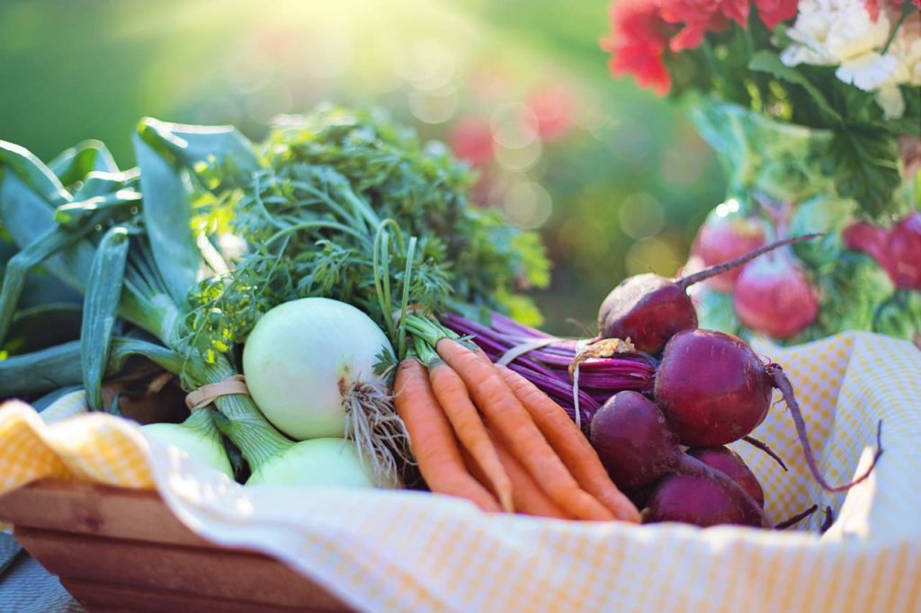 Image of healthy vegetables for what to eat with probiotics