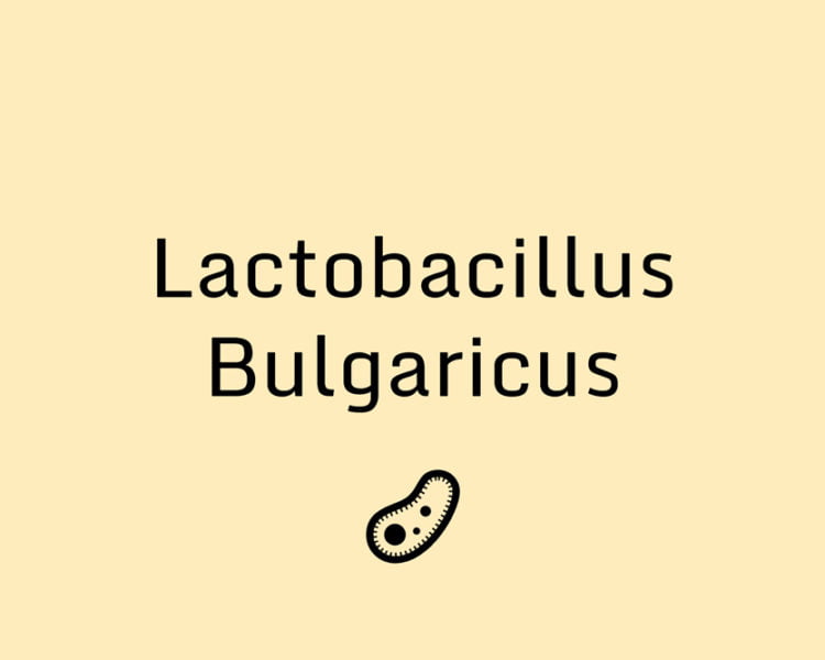 Black text on a yellow background that says "lactobacillus bulgaricus" and a graphic of a bacterial cell