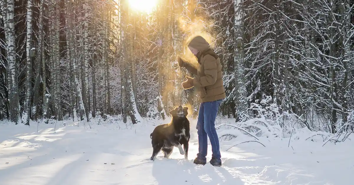 woman walking dog on snowy day in woods